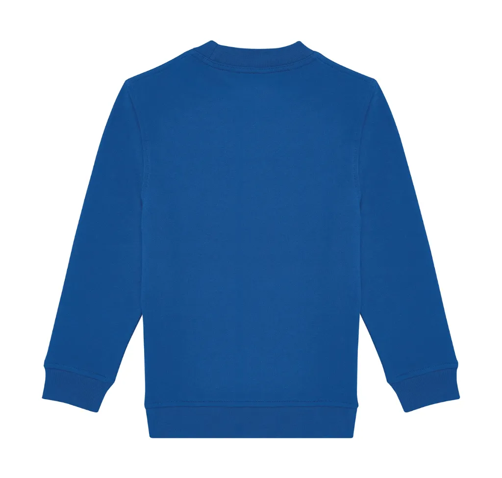 248_42_300_B-2025_01 Royal Blue.webp