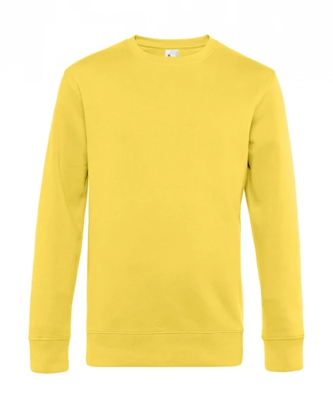 Pull col rond homme - Neutre